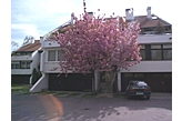 Family pension Sopron Hungary